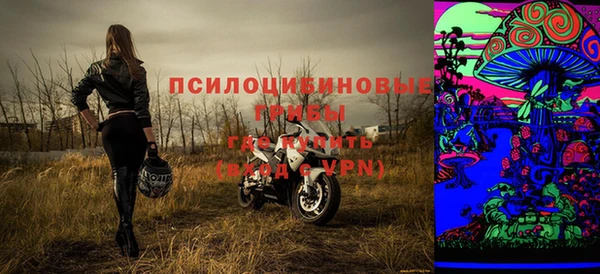 тгк Горно-Алтайск