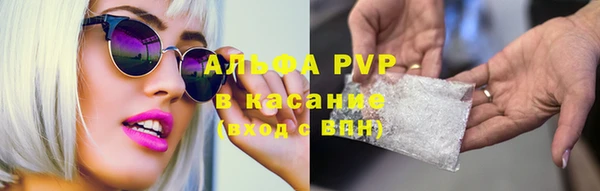 тгк Горно-Алтайск