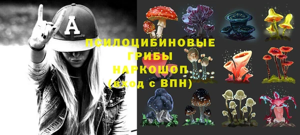 спайс Горняк