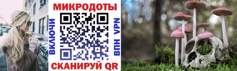 Псилоцибиновые грибы Cubensis  Купить закладки  Иннополис 