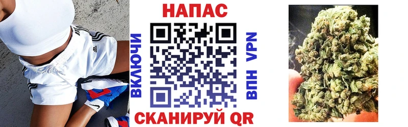 Канабис индика  Купить где  Иннополис 